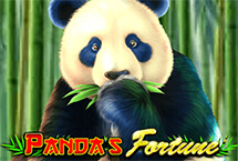 Panda's Fortune